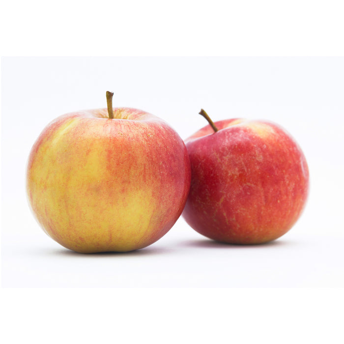 Macintosh Apple