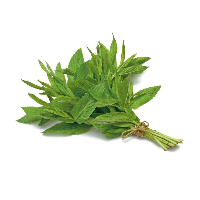 Mint