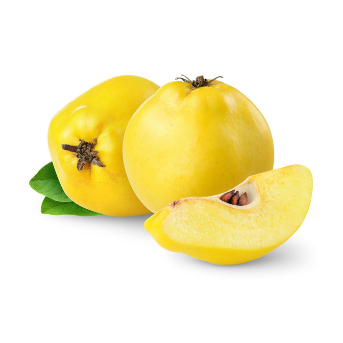 Quince
