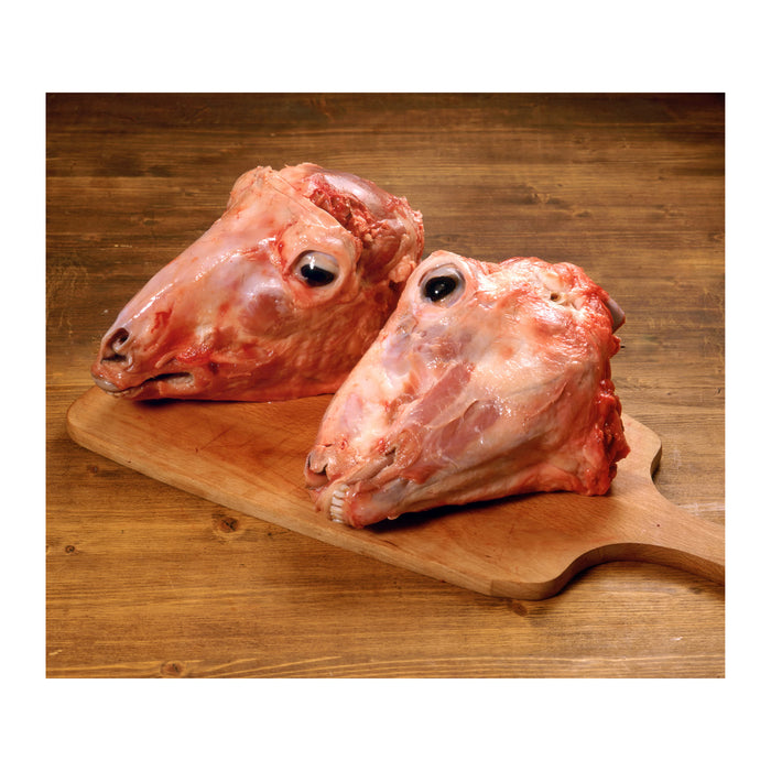 Lamb head