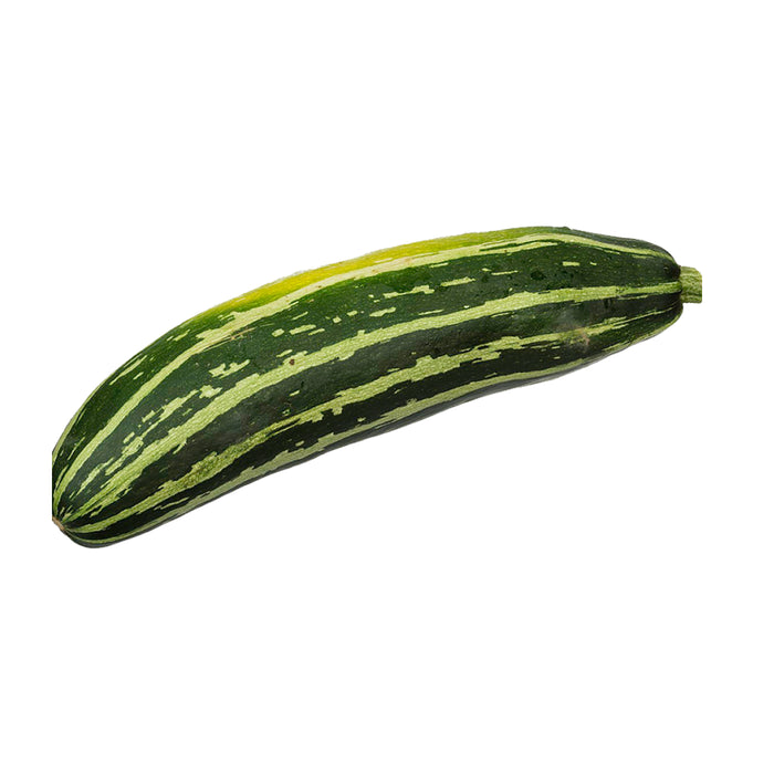 Zucchini