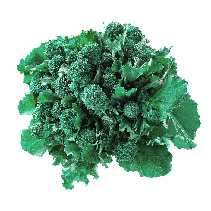 Rapini (Each)