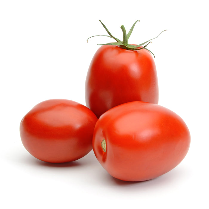 Tomate Roma