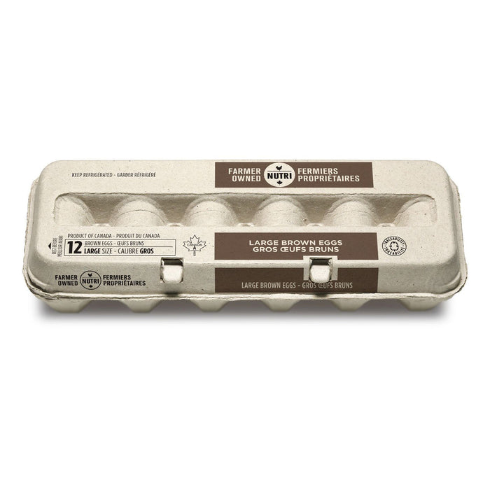 Nutri oeufs Big Brown 12