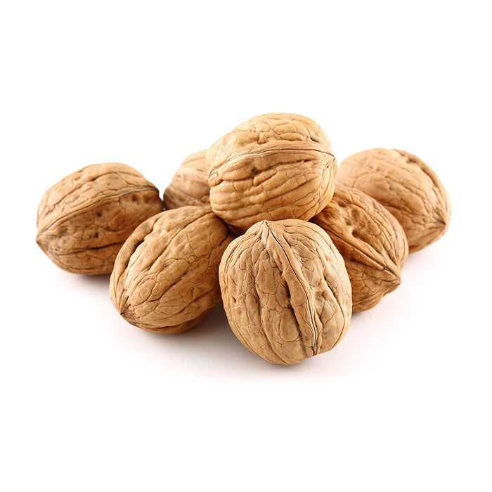 Shell Nut