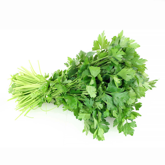 Italian Parsley