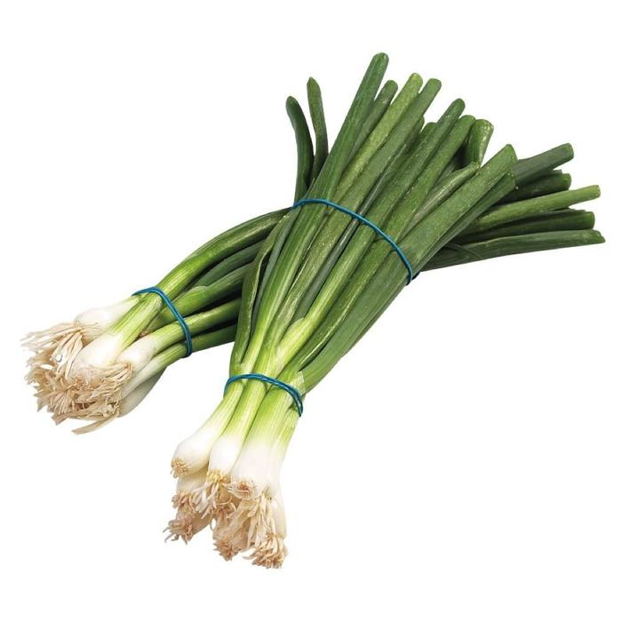 GREEN ONION (1 UNIT)