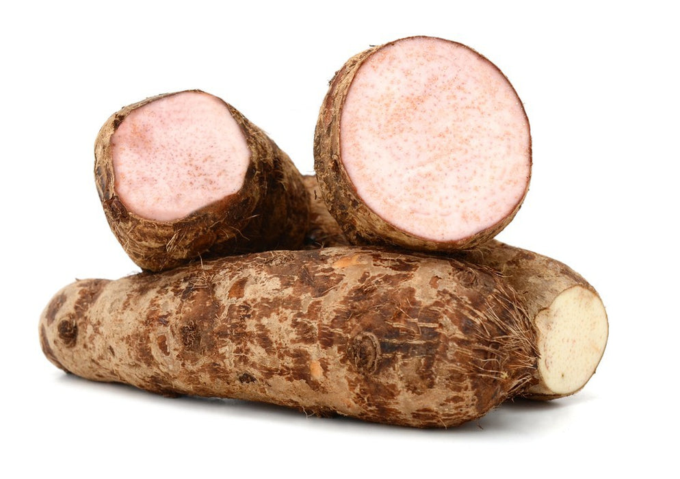 Malanga Lila