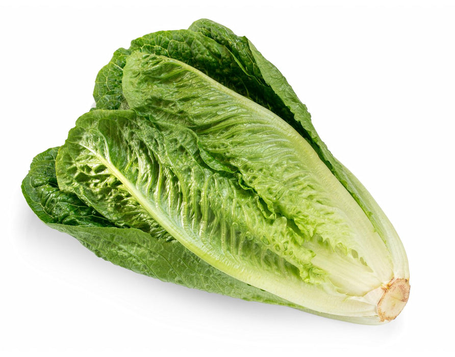 Romaine Lettuce - 3pack