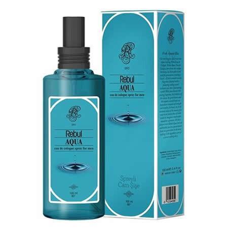 Rebul Aqua 100 ml
