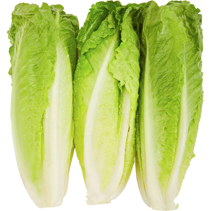 Romaine Hearts